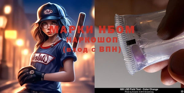 ГАЛЛЮЦИНОГЕННЫЕ ГРИБЫ Козловка
