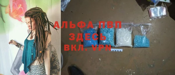 ГАЛЛЮЦИНОГЕННЫЕ ГРИБЫ Козловка