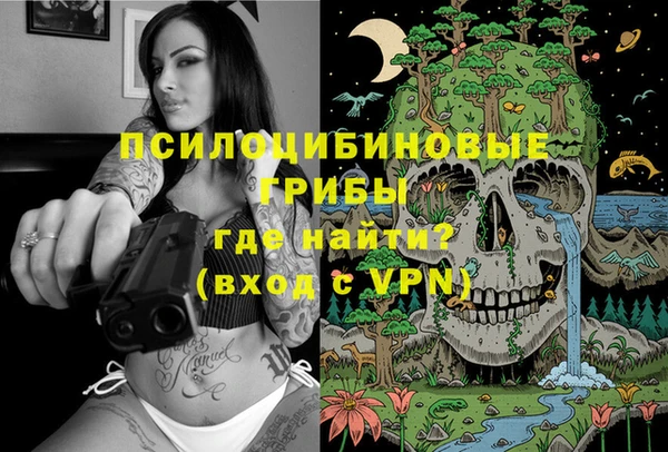 ГАЛЛЮЦИНОГЕННЫЕ ГРИБЫ Козловка