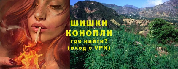ГАЛЛЮЦИНОГЕННЫЕ ГРИБЫ Козловка