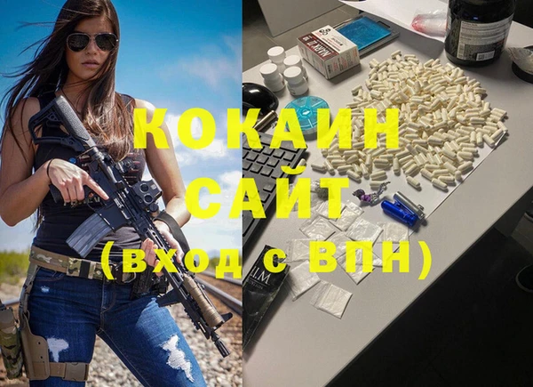 ГАЛЛЮЦИНОГЕННЫЕ ГРИБЫ Козловка