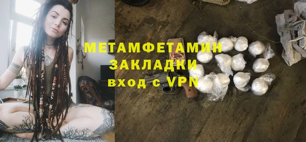 ГАЛЛЮЦИНОГЕННЫЕ ГРИБЫ Козловка