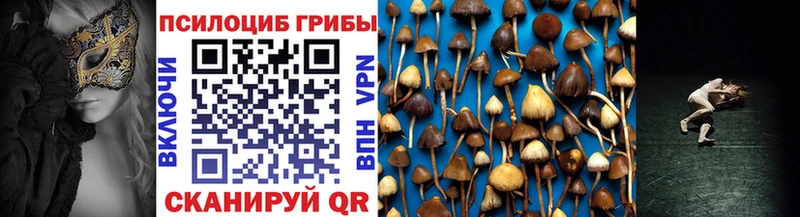 где купить   Нижневартовск  Галлюциногенные грибы GOLDEN TEACHER 