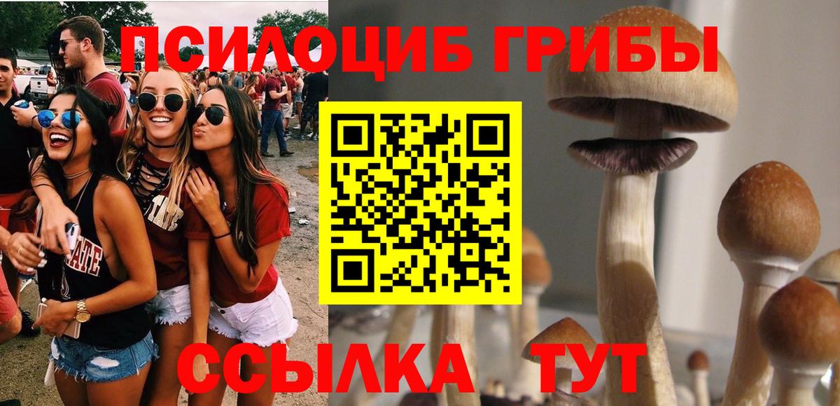 Нижневартовск  Псилоцибиновые грибы Psilocybe  Вход с VPN  закладка  Псилоцибиновые грибы Cubensis 